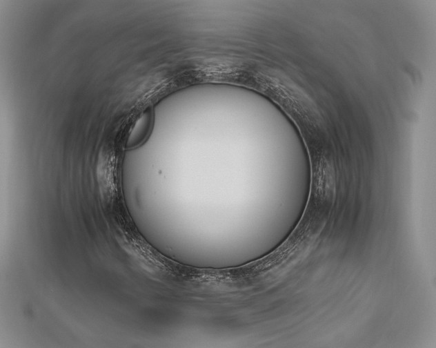 X0000113171346200909041313