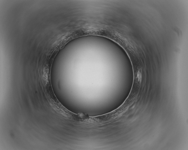 X0000113171348200909041313