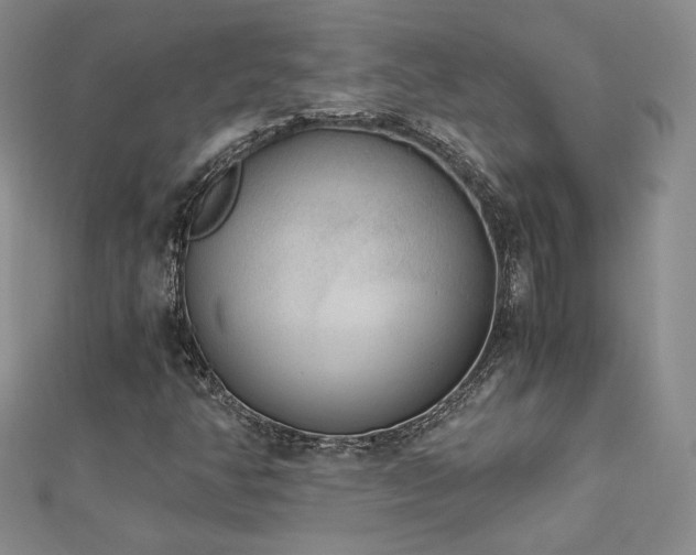 X0000113171350200909041313