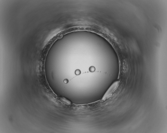 X0000113171352200909041313