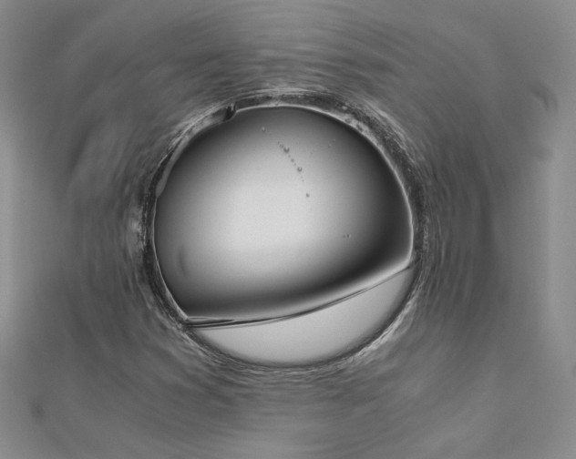 X0000113171353200909041313
