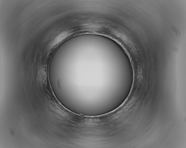 X0000113171354200909041313