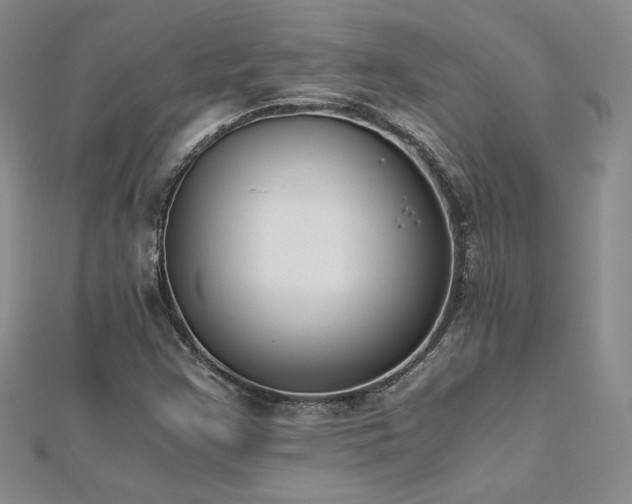 X0000113171355200909041313