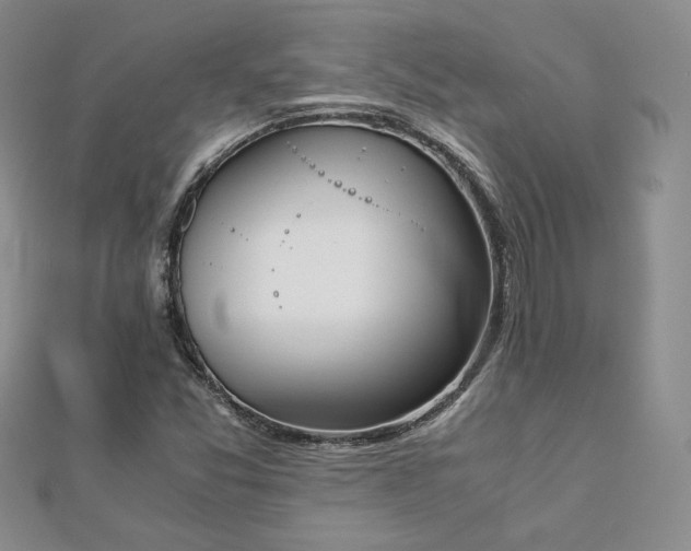 X0000113171357200909041313