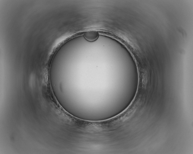 X0000113171358200909041313