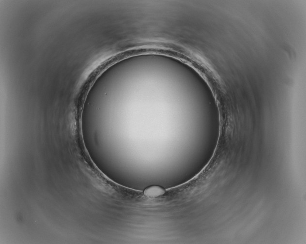 X0000113171360200909041313