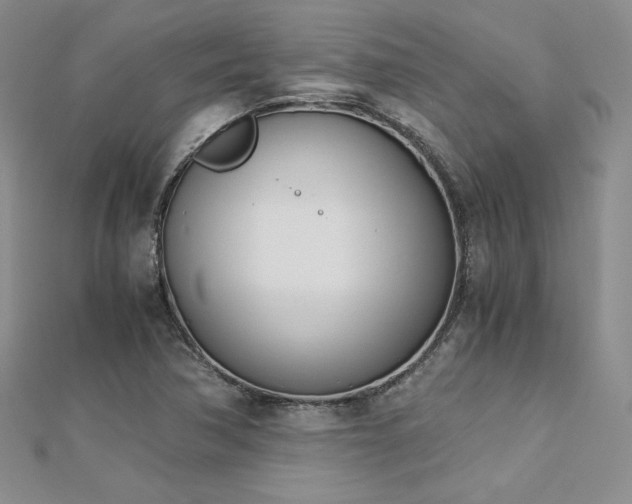 X0000113171362200909041313
