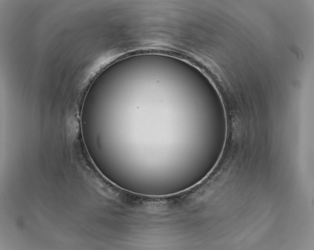 X0000113171363200909041313
