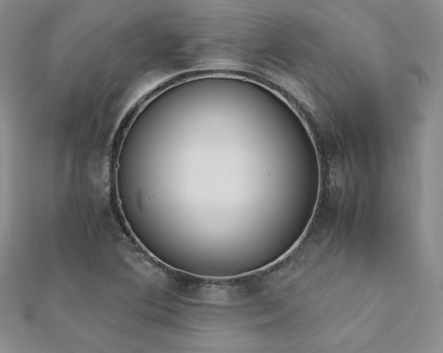 X0000113171364200909041313