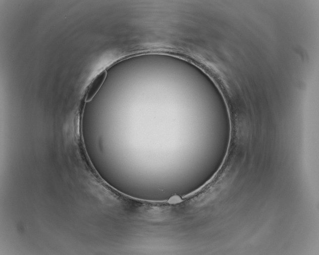X0000113171365200909041313