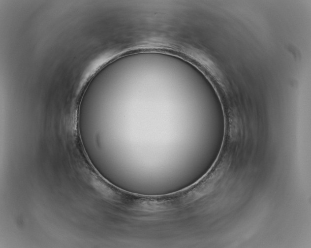 X0000113171366200909041313