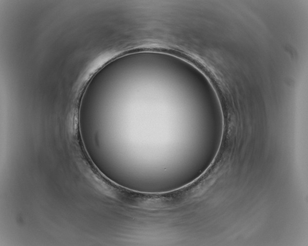 X0000113171367200909041313