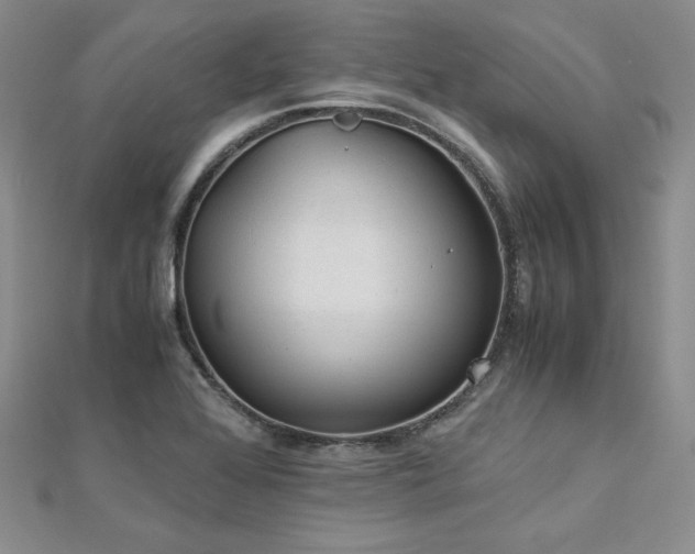 X0000113171368200909041313