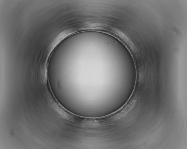 X0000113171370200909041313