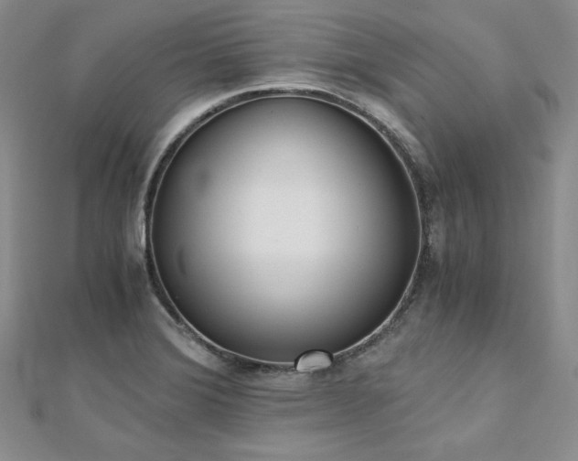 X0000113171372200909041313