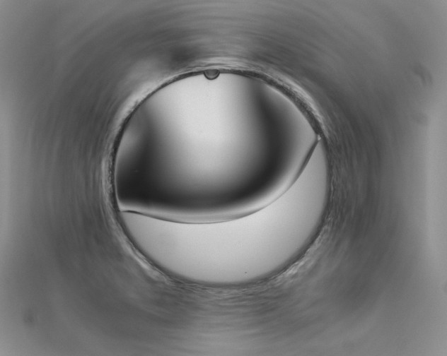 X0000113171373200909041313