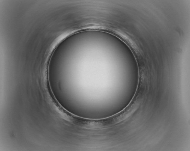 X0000113171375200909041313