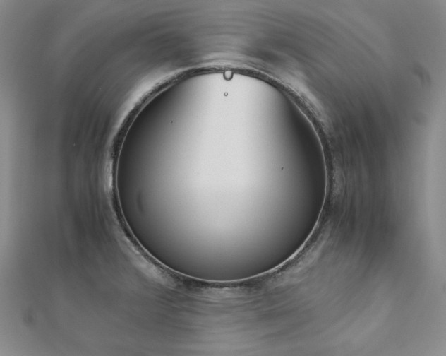 X0000113171376200909041313