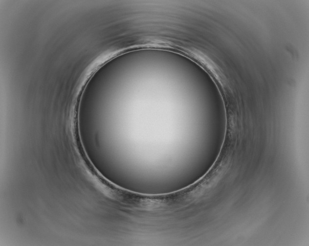 X0000113171379200909041313