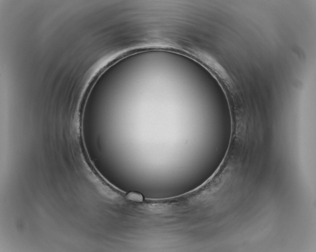X0000113171380200909041313