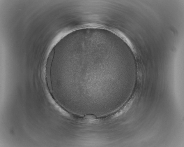 X0000113171381200909041313