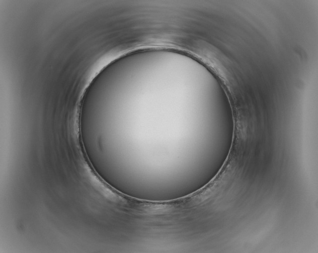 X0000113171382200909041313