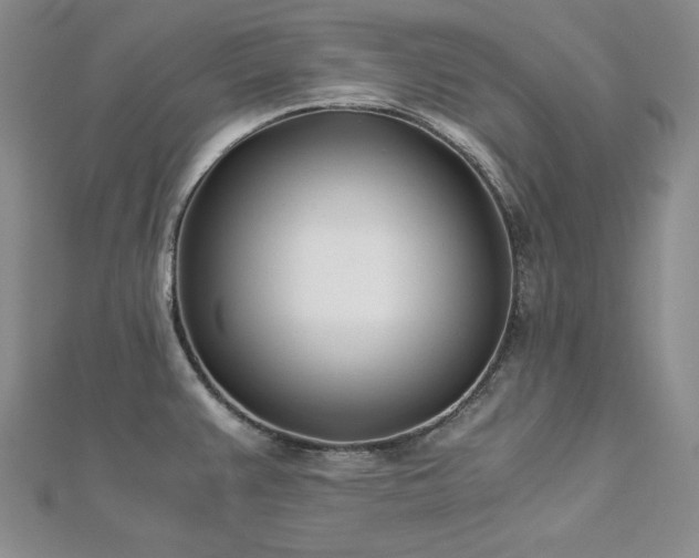 X0000113171383200909041313