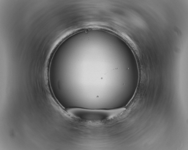 X0000113171384200909041313