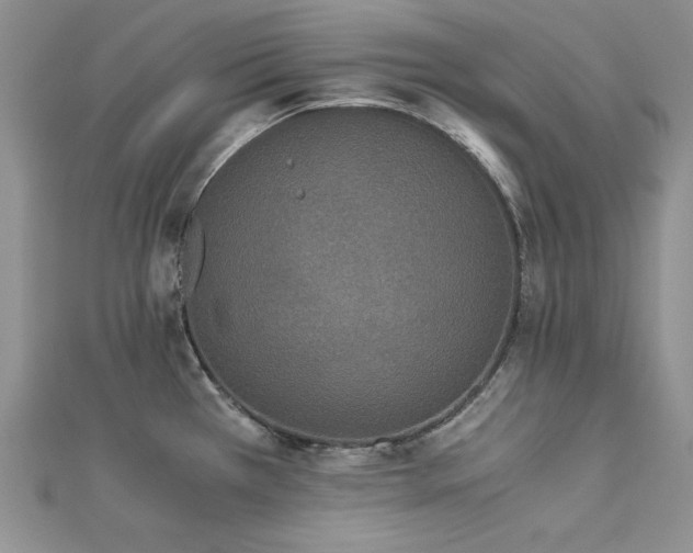 X0000113171385200909041313