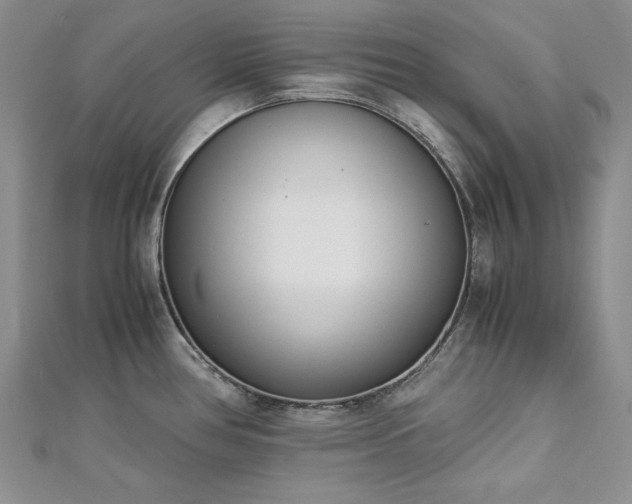 X0000113171386200909041313