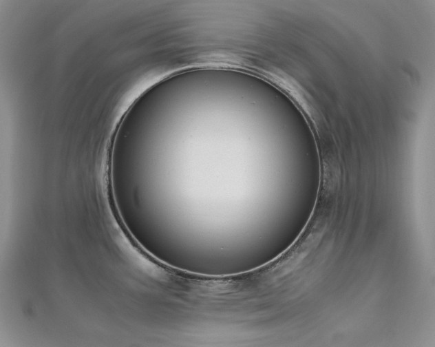 X0000113171387200909041313