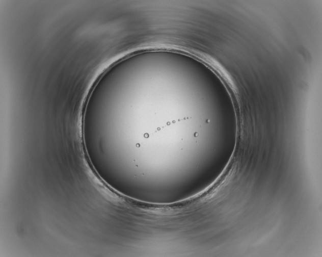 X0000113171388200909041313