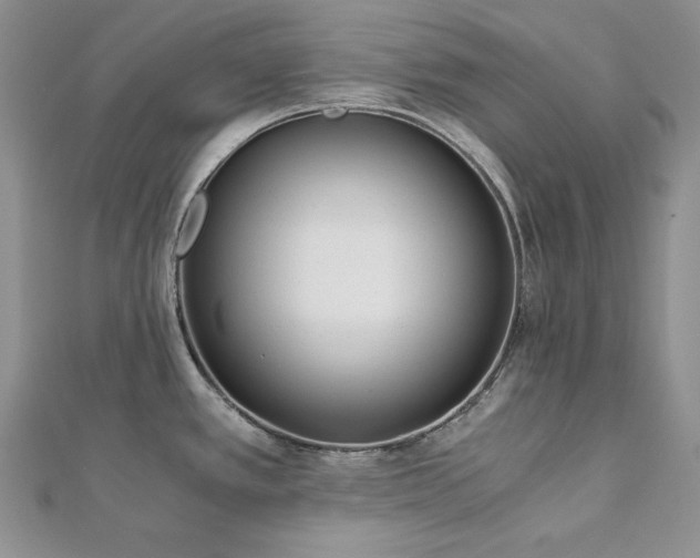 X0000113171389200909041313