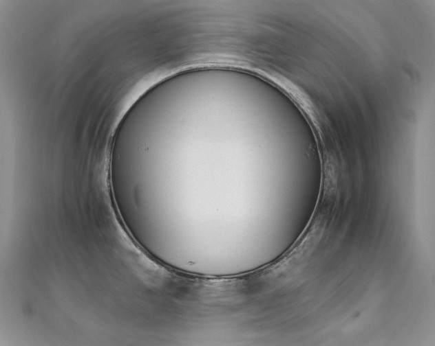 X0000113171390200909041313