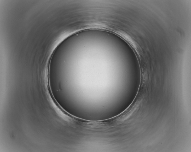 X0000113171391200909041313