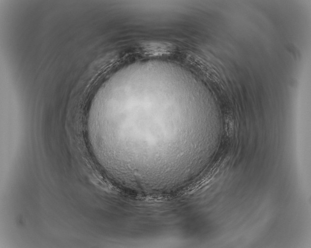 X0000113171393200909041312