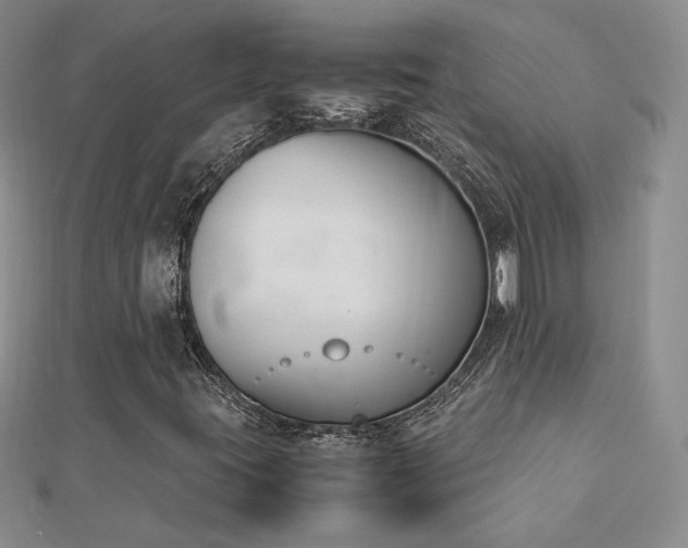 X0000113171395200909041312