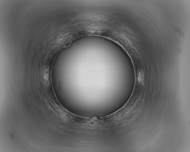 X0000113171396200909041312
