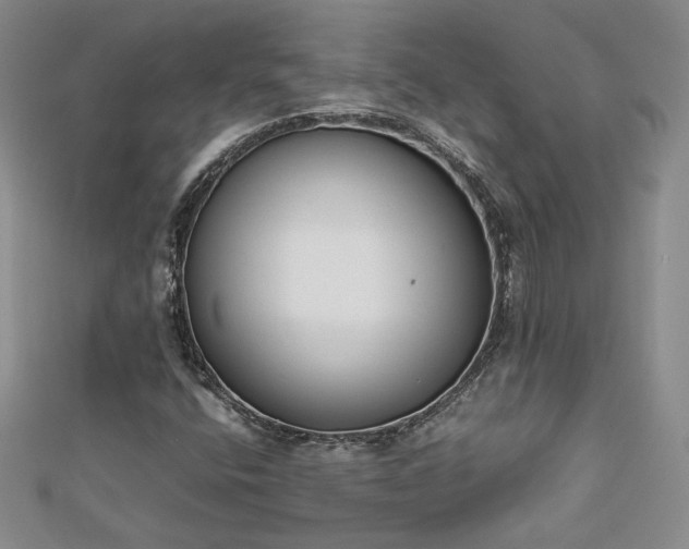 X0000113171400200909041312