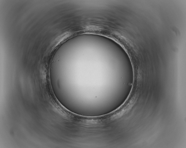 X0000113171401200909041312
