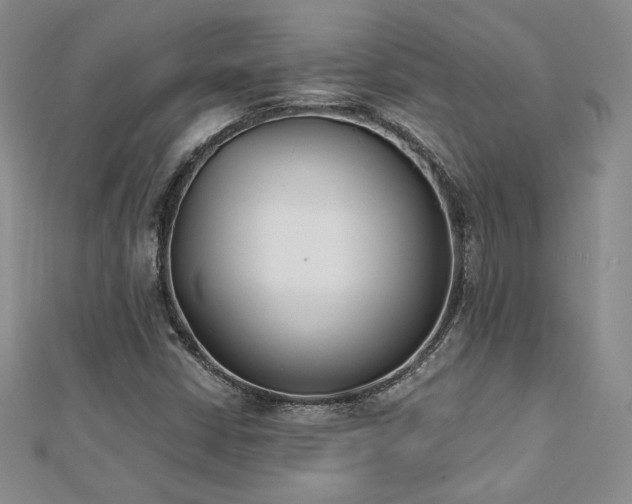 X0000113171402200909041312