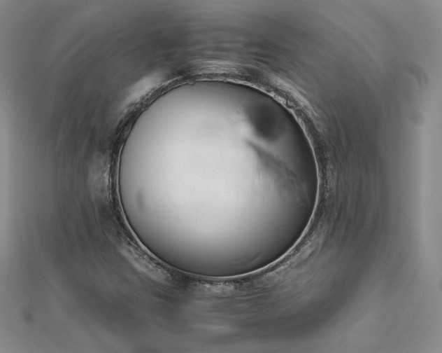 X0000113171403200909041312