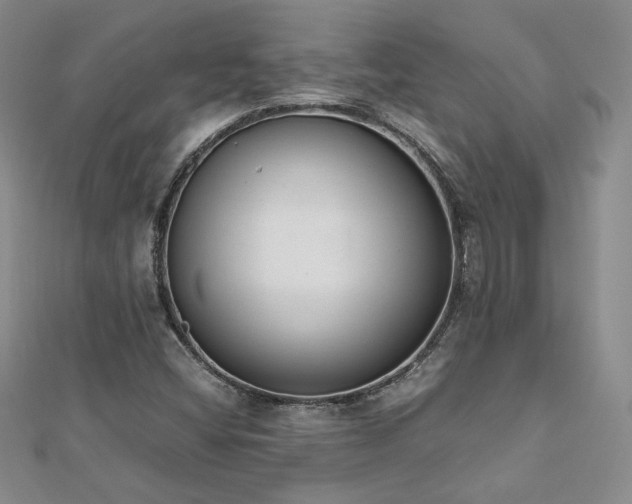 X0000113171404200909041312