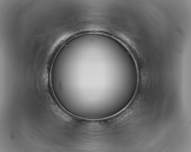 X0000113171408200909041312