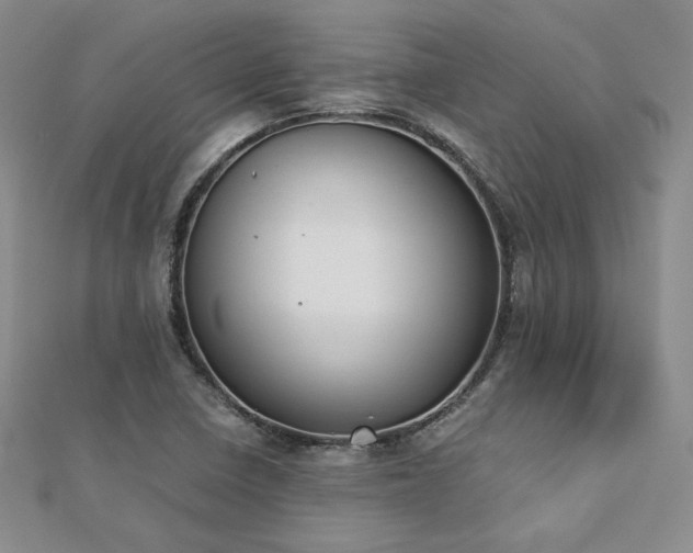 X0000113171410200909041312