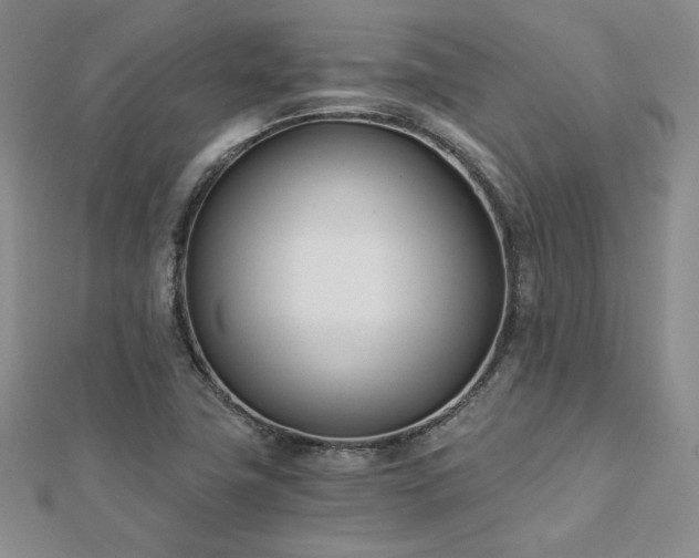 X0000113171411200909041312
