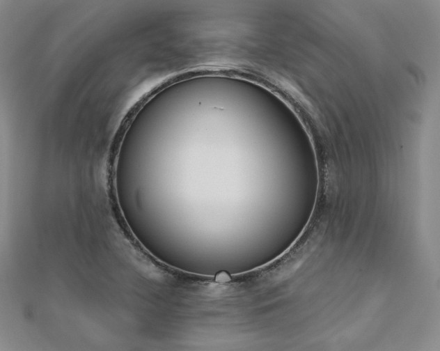 X0000113171412200909041312