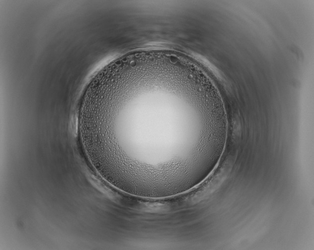 X0000113171413200909041312