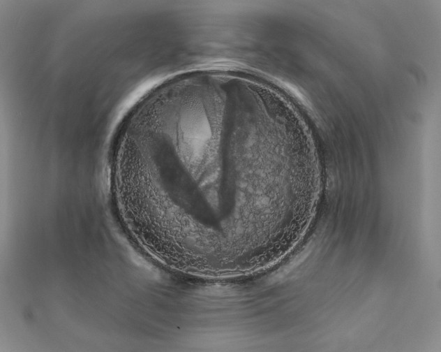 X0000113171414200909041312