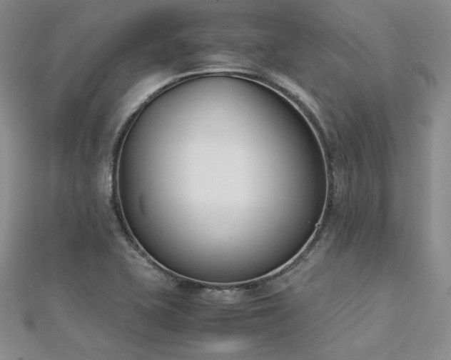 X0000113171415200909041312